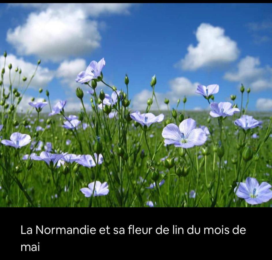 Appartement Veules Roses , La Cressonniere: « Veules & Victor «  ภายนอก รูปภาพ